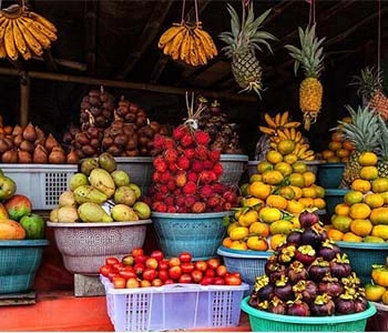 puri saren ubud